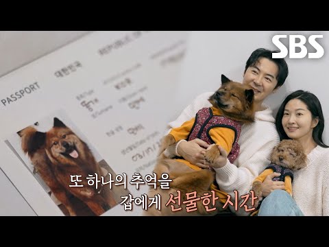 <strong>전진</strong>×류이서 부부, 똥개 ‘만세’만을 위한 특별한 선물 준비♥