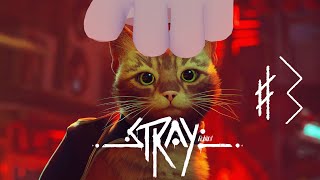 【Stray】ﾈﾁｺｬﾝ ｶﾜｲｲﾈ【#3】