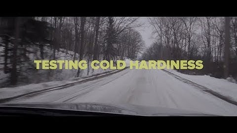 Testing Cold Hardiness