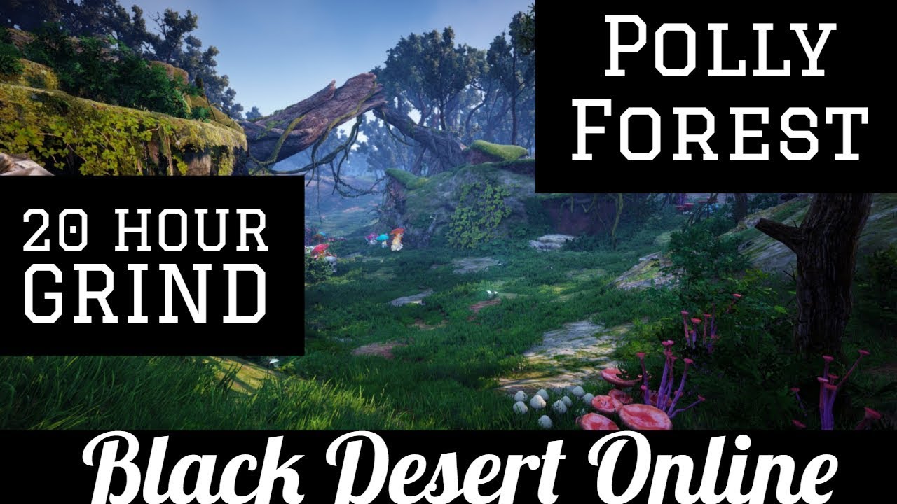 Black Desert Online Bdo Polly Forest Guide Silver Breakdown 20 Hours Youtube
