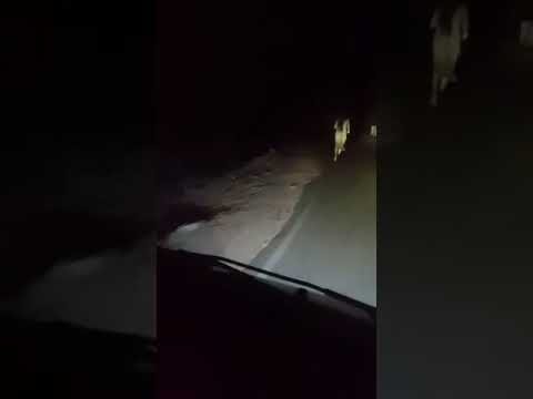 Himachal Pradesh real chudail captured in camera #real #Ghost #viral