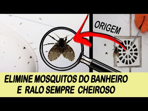 Vídeo: Como Se Livrar Das Moscas Em Um Banheiro Rural? Remédios Populares Para Moscas Em Um Banheiro De Rua No Interior Do País. Como Limpar Moscas Em Um Banheiro De Turfa Do Lado De Fora