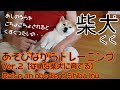 遊びながら柴犬トレーニングver.2～従順な柴犬に育てる、“Shiba Inu training while playing Ver.2”ーRaise an obedient Shiba Inu