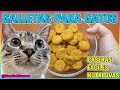 Galletas Para Gatos Caseras, Fáciles, Pocos Ingredientes y Muy Nutritivas!! - SiamCatChannel