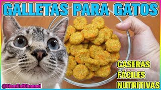 Galletas Para Gatos Caseras, Fáciles, Pocos Ingredientes y - SiamCatChannel - YouTube