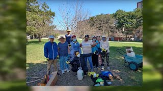 Community Development at North York Community House
