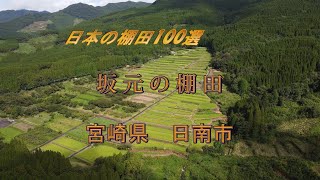 日本の棚田百選　坂元棚田　#日南市#実りの秋#動画