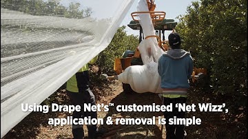 Drape Net Anti-Bee Net