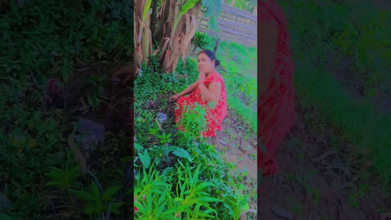 gareb samjh raha ho mujhe 