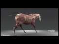 VFX Technology | Tissue System | Weta Digital