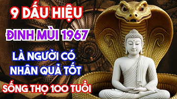 RỢN GÁY DẤU HIỆU TUỔI ĐINH MÙI 1967 LÀ NGƯỜI CÓ NHÂN QUẢ HẬU VẬN TỶ PHÚ
