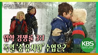 입학 경쟁률 3:1! 독일 숲 유치원은 어떤 수업을 할까? [환경스페셜-식목일 특집 숲, 도시를 치유하다] / KBS 20060405 방송