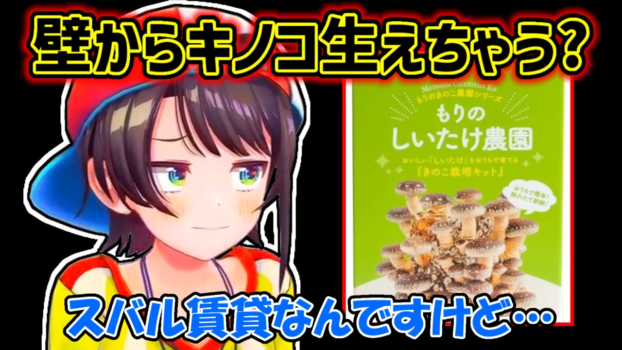 【大空スバル】部屋からキノコが生えることを恐れているスバル【ホロライブ切り抜き】