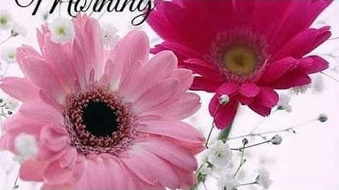 Lesson plan of environment study (nios dled/bridge course/b.ed).