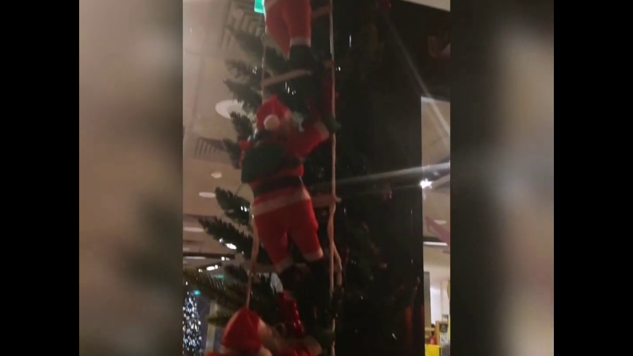 Макдональдс в Тбилиси - YouTube