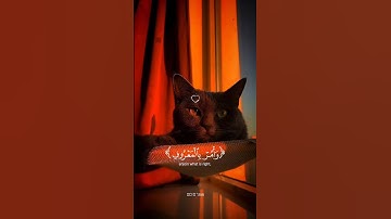 قران كريم بصوت جميل #اكسبلور #المصحف #الرحمن #لايك #راحة_نفسية