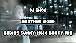 DJ Shog - Another Word (Radius Sunny 2k24 Booty Mix)