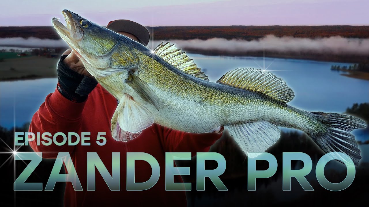 ZANDER PRO 5 - Эпизод 5 (русские субтитры)