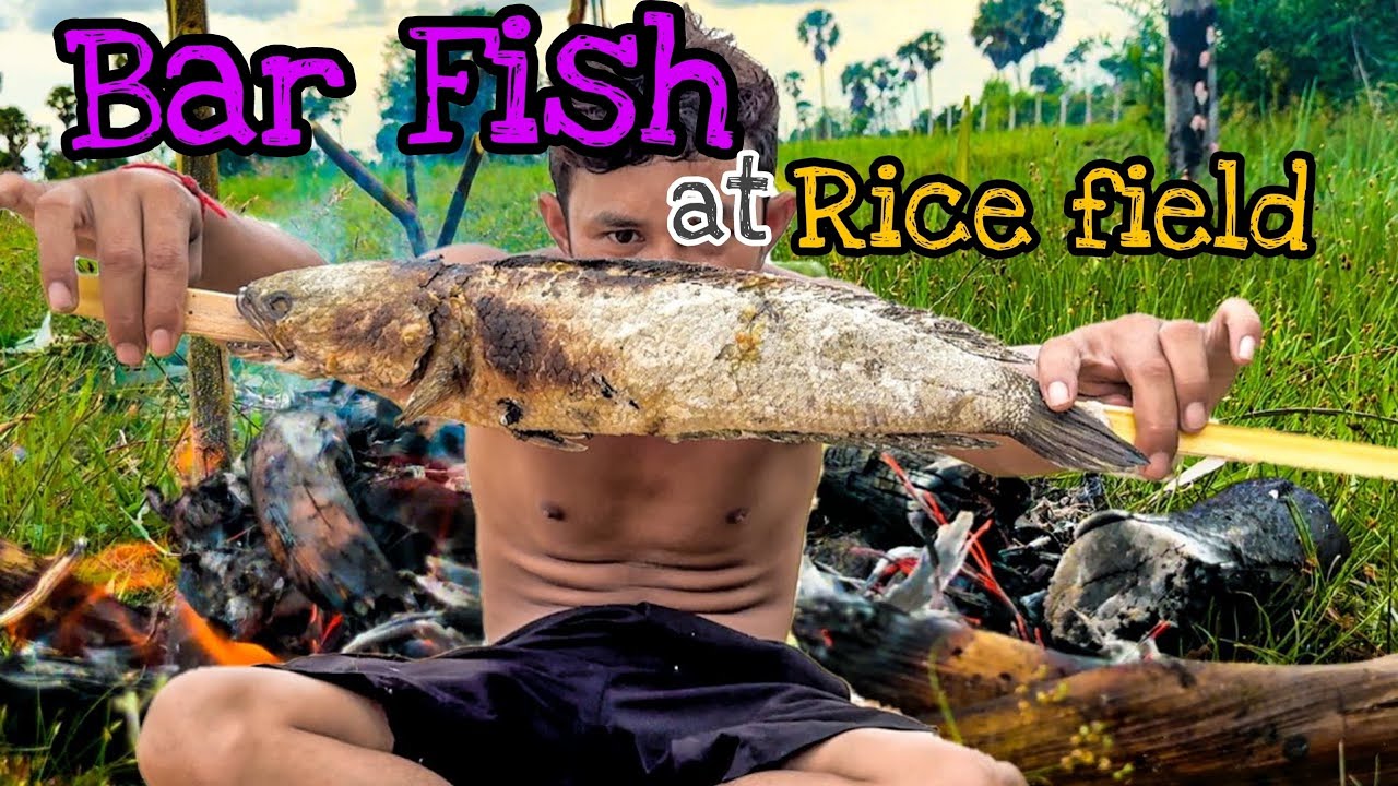 Outdoor culinary station featuring locally sourced ingredients, situated in a natural setting.