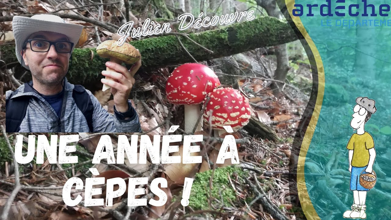 2022, une année à cèpes en Ardèche ! 2/2