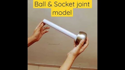 How Ball & Socket Joints Let You Move Like This #ball&socket