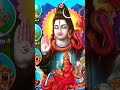 मेरे प्रभु | मेरे महाकाल के दर्शन कर सकते हैं |मेरे महादेव