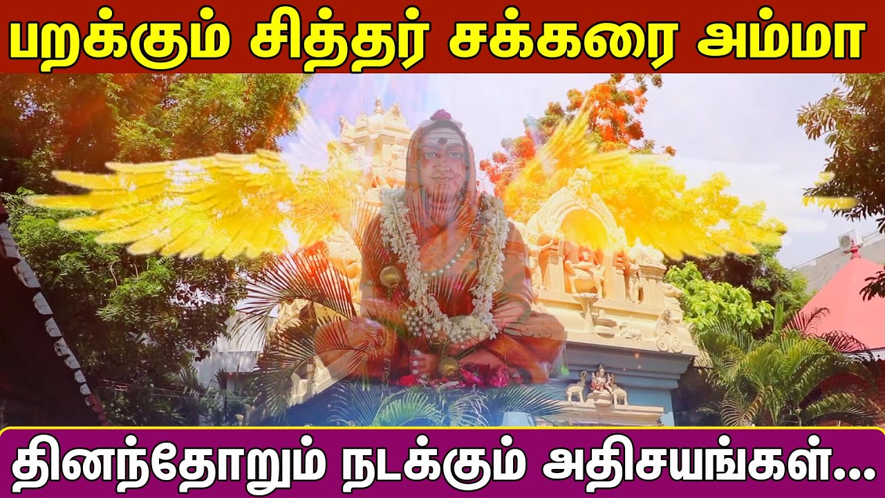 பறக்கும் சித்தர் சக்கரை அம்மா | Pranavam TV