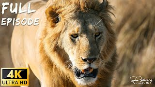 World&#39;s Deadliest MEGA EPISODE | Season 1 Full Episodes | World Wildlife