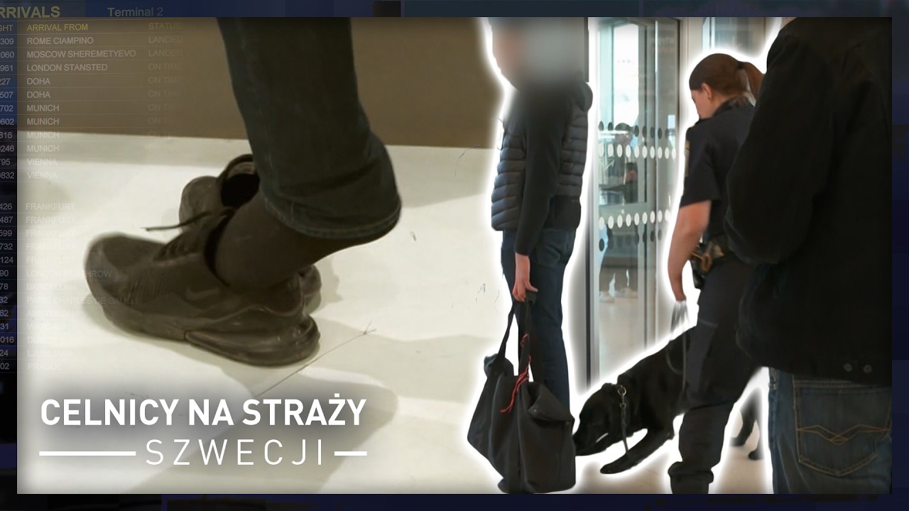 Pies wyczuł narkotyki w butach pasażera, ale agent nie mógł ich znaleźć | Celnicy na straży Szwecji
