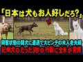 【海外の反応】「日本犬が米国の闘犬に対抗できるわけがない」興奮状態のピットブルに遭遇した散歩中の老夫婦を守ろうとした日本の天然記念物紀州犬の行動に全米が驚愕