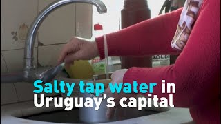 Salty tap water in Uruguay's capital