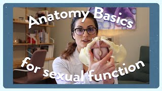 Anatomy for sexual function and pelvic floor muscles in men #anatomy