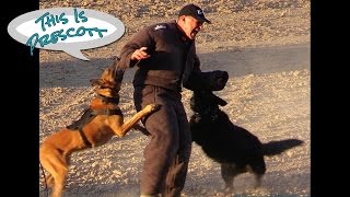 K-9 Police Unit Demo