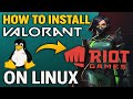 how to install valorant on linux working 2024 (100% legit works)