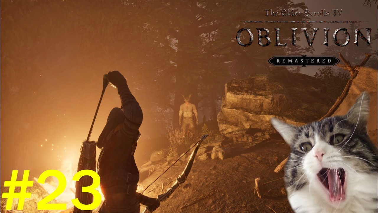 Piccolo favore!!! - #23 - Oblivion - Remastered - Gameplay - ITA