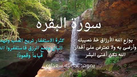 تلاوات خاشعه بصوت عبدالله سعداوي