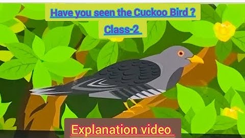 CLASS-2 Poem- " Have You Seen The Cuckoo Bird ??? Explanation video #animation #cbse #icse 