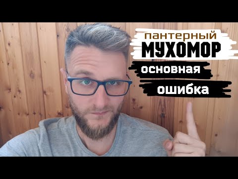 МУХОМОРЫ / Основная ошибка новичков