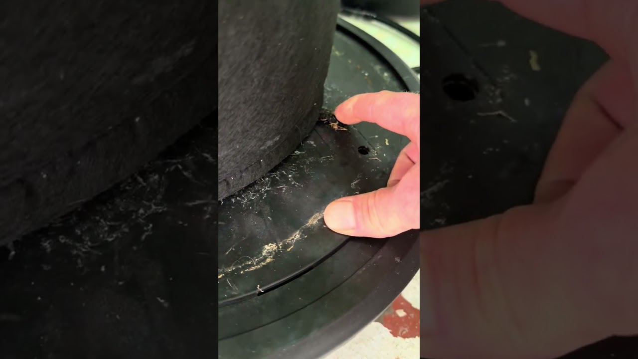 Mandarin cookies and bad apples. Week 2