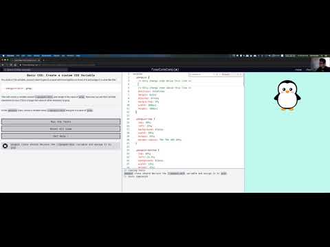freeCodeCamp: Create a custom CSS Variable