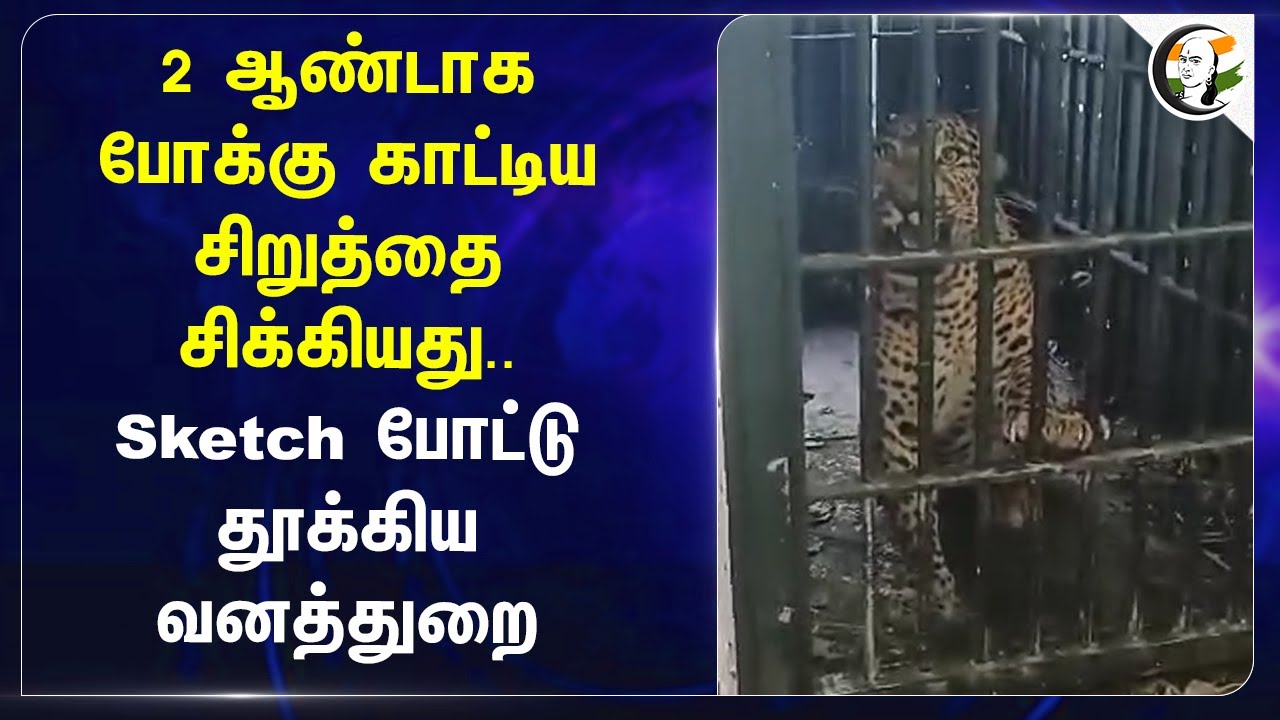 2 ஆண்டாகபோக்கு காட்டிய சிறுத்தை சிக்கியது.. Sketch போட்டுதூக்கிய வனத்துறை | Krishnagiri