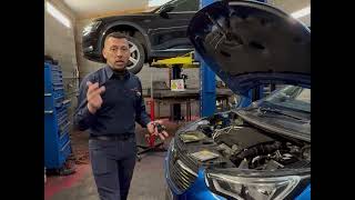 Bought a Non-Starting Car at Auction – Here's What Happened Next! Net Worth