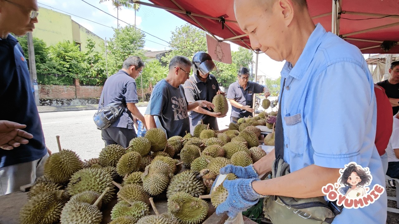 SOLD OUT in 3 Hrs! Inside KL 1st CHEMICAL FREE Durian Love by Customers #高山榴莲 ! Malaysia Street Food