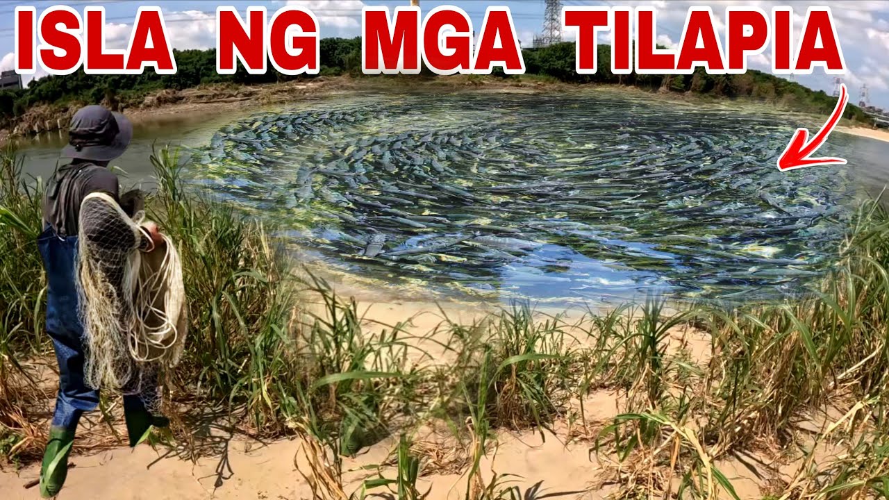 Hindi Kami Makapaniwala Na Dating Gubat Ngayon Ginawang Tirahan Ng Napakaraming Isda 