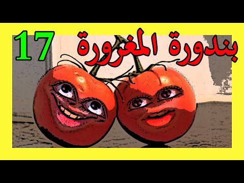 arrogant-tomato:-episode-17-(a-tale-of-the-heritage-of-tomatoes)
