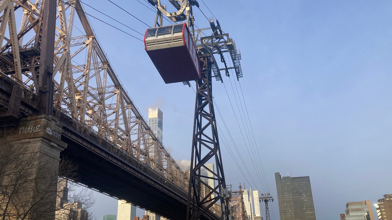 One Giant Leap to Roosevelt Island - A Wolferz at the Big Apple
