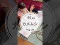 ペットもOK✨カメムシ対策💡