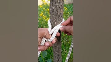 HOW TO TIE A STRONG LOOP KNOT #knots #rope #how #loop #loop #loopknot #loops