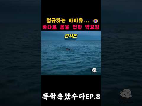 "절규하는 애순을 보고 바다에 몸을 던진 관식... 🌊 3화 엔딩 미쳤다 😭 (눈물 주의)" #드라마 #drama #드라마명장면