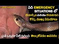 First Aid and Basic Life Support Methods in Emergencies in Telugu